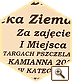 Najsmaczniejszy mid nektarowy